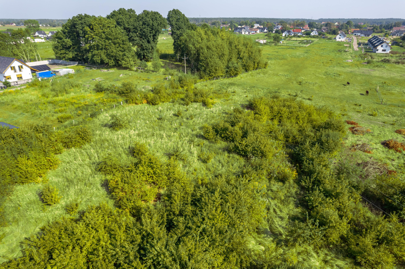 Działka Sprzedaż Kliniska Wielkie 6