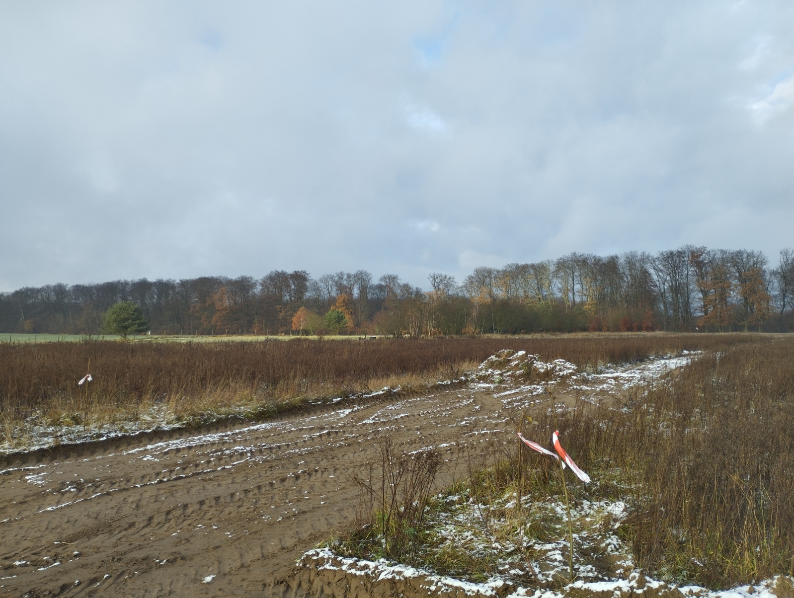 Działka Sprzedaż Dobropole Gryfińskie 3