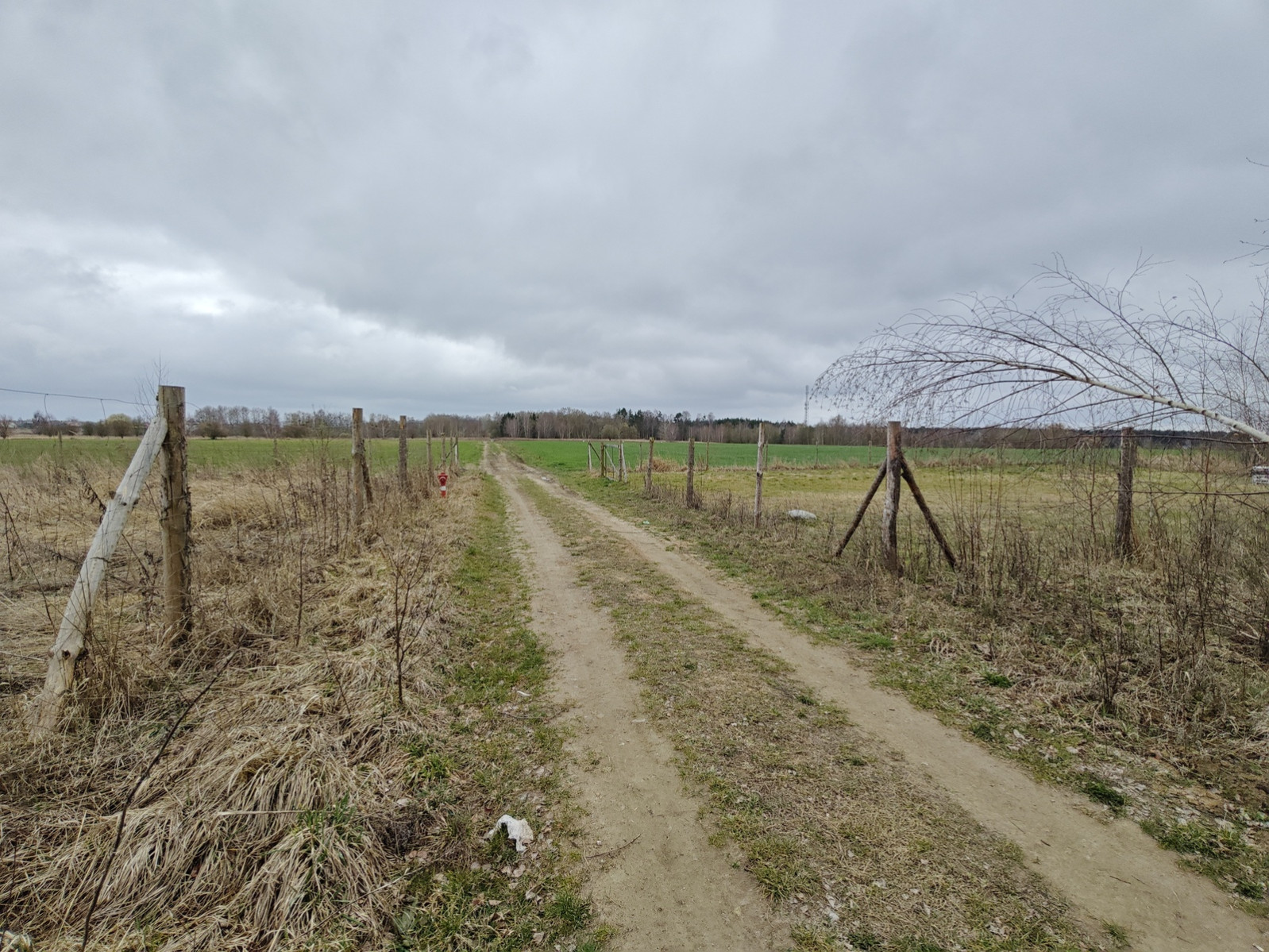Działka Sprzedaż Wąwelnica 3