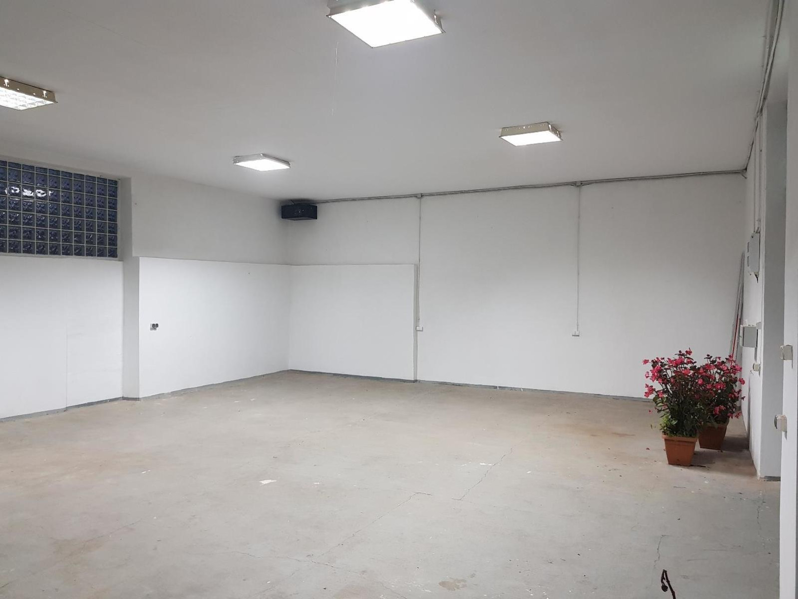 Lokal Wynajem Szczecin Dąbie 5