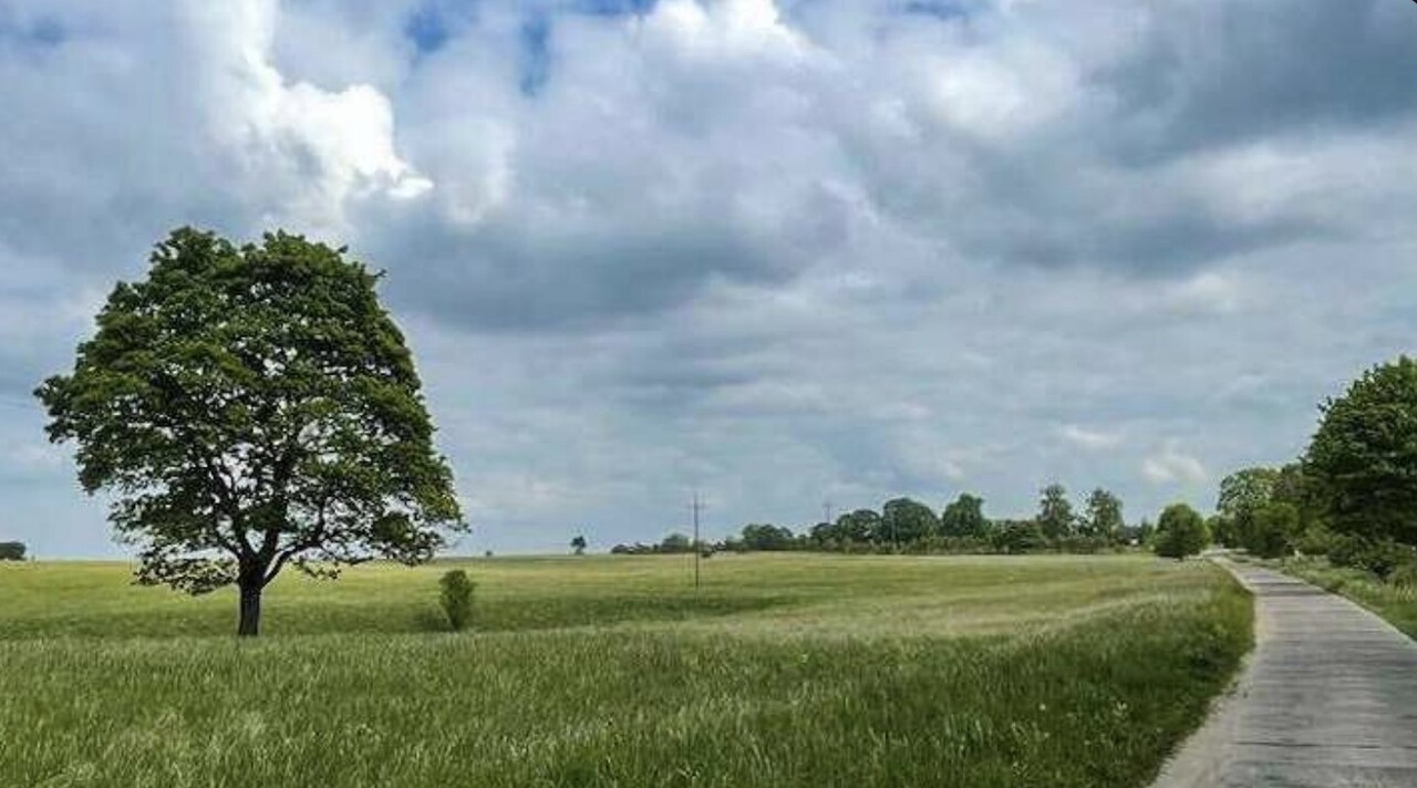 Działka Sprzedaż Dołgie 7