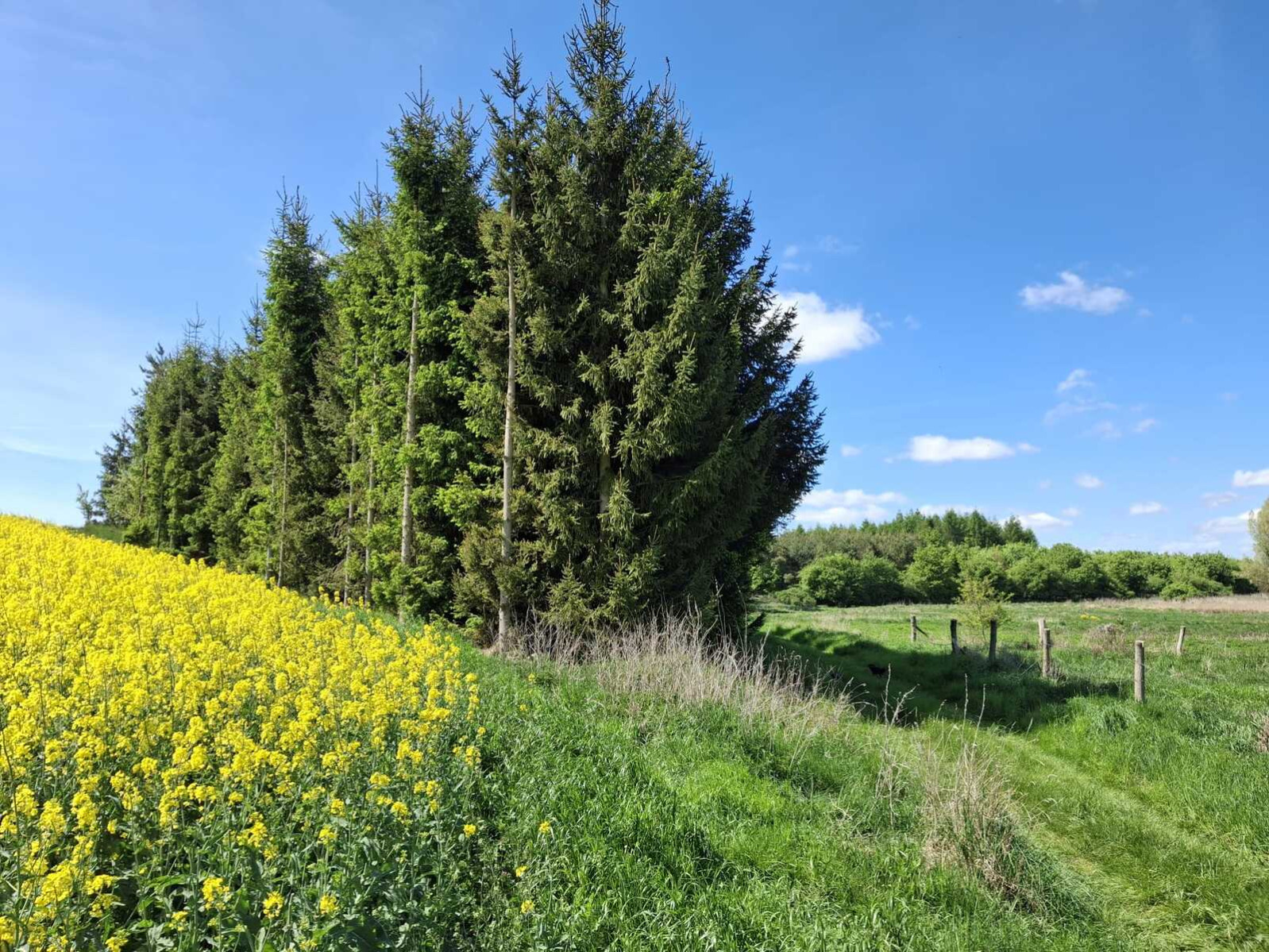 Działka Sprzedaż Parsów 2