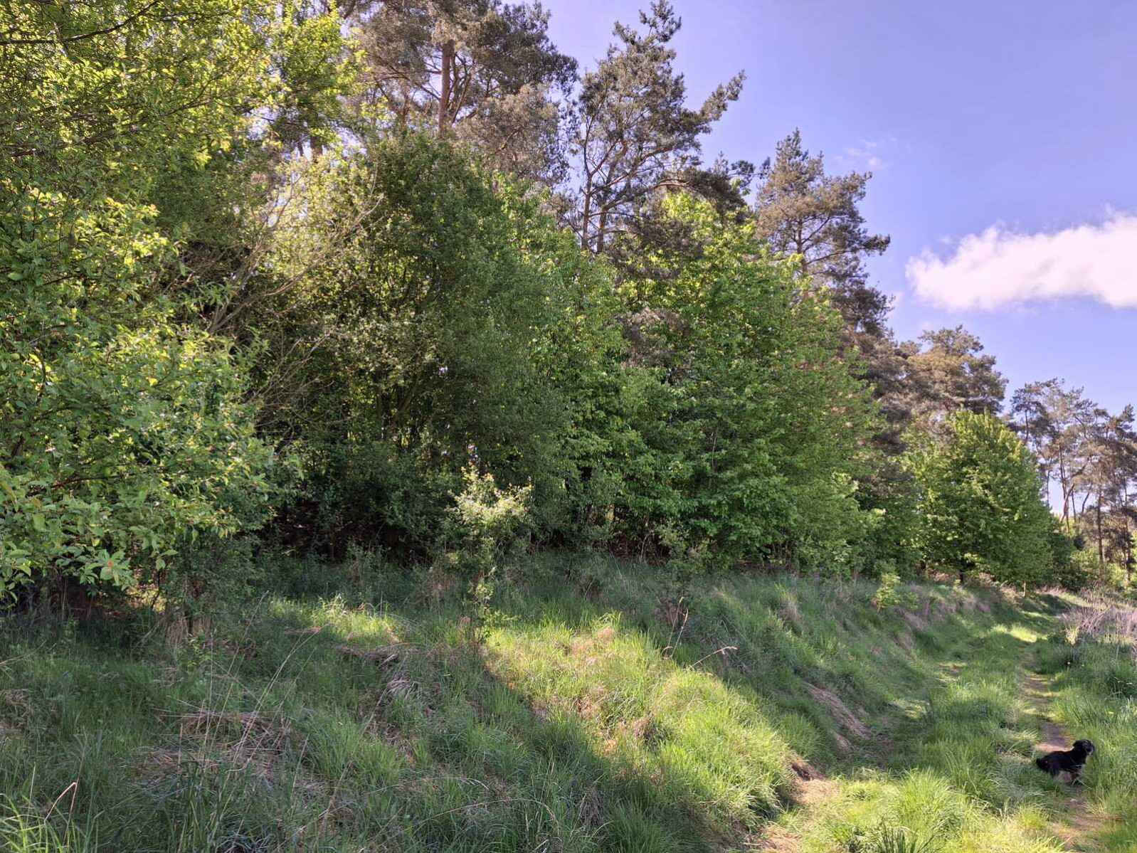Działka Sprzedaż Parsów 3