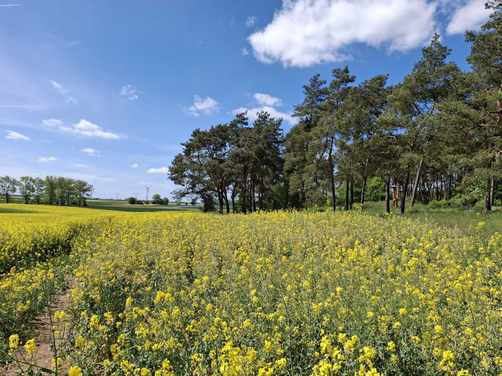 Działka Sprzedaż Parsów 4