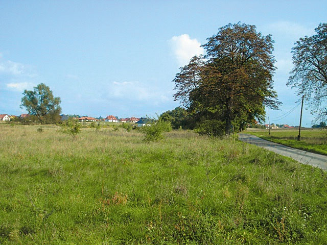 Działka Sprzedaż Kościno 6
