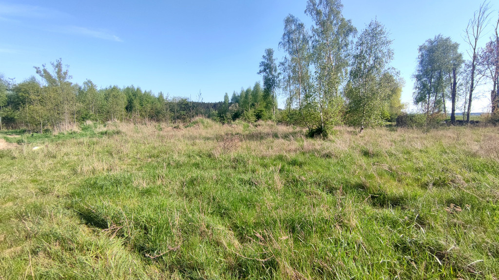 Działka Sprzedaż Sławoszewo 1