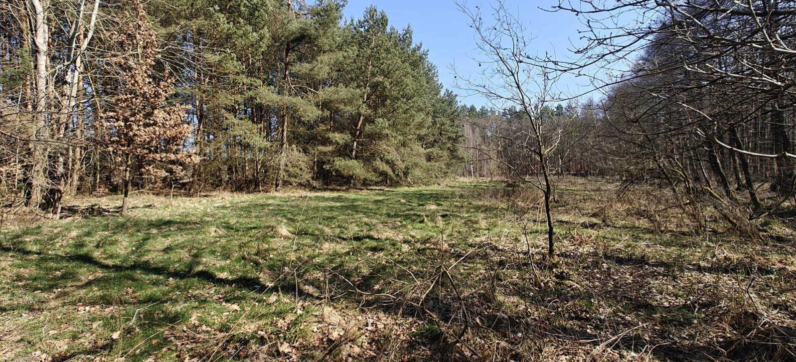 Działka Sprzedaż Nowogard 11