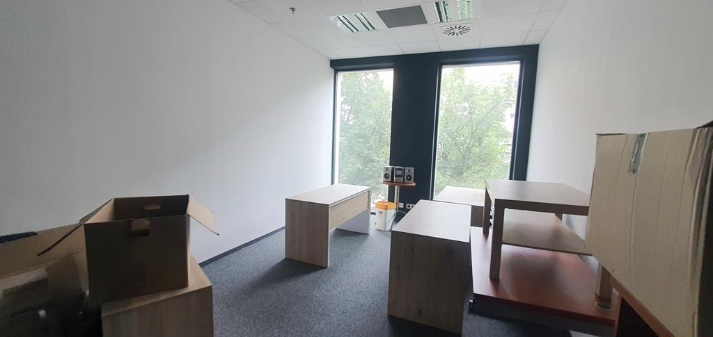 Lokal Wynajem Szczecin Centrum 8