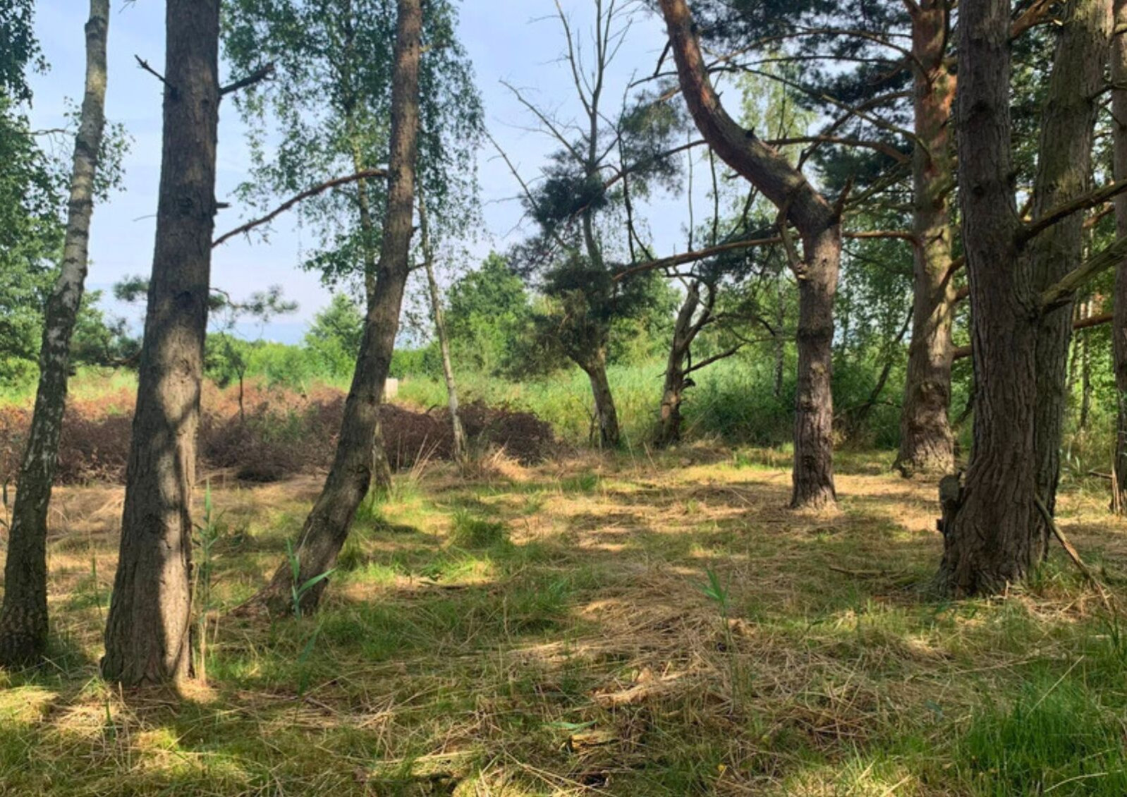 Działka Sprzedaż Międzywodzie 5