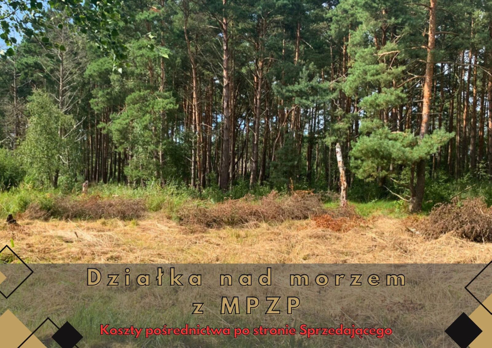 Działka Sprzedaż Międzywodzie 3