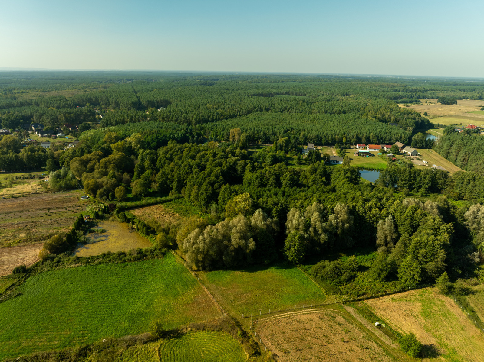 Działka Sprzedaż Stawno 15