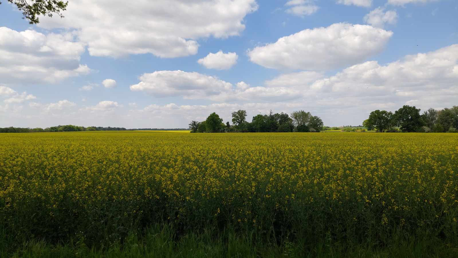 Działka Sprzedaż Mielno 2