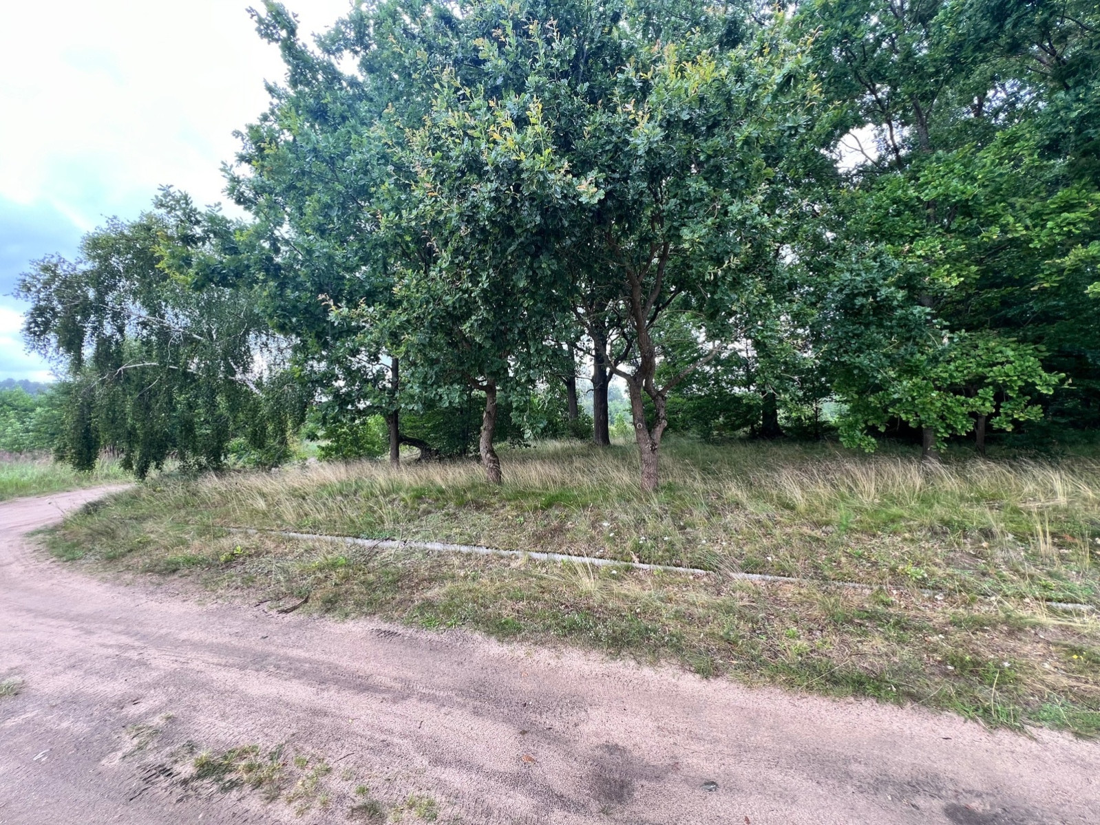 Działka Sprzedaż Storkowo 3