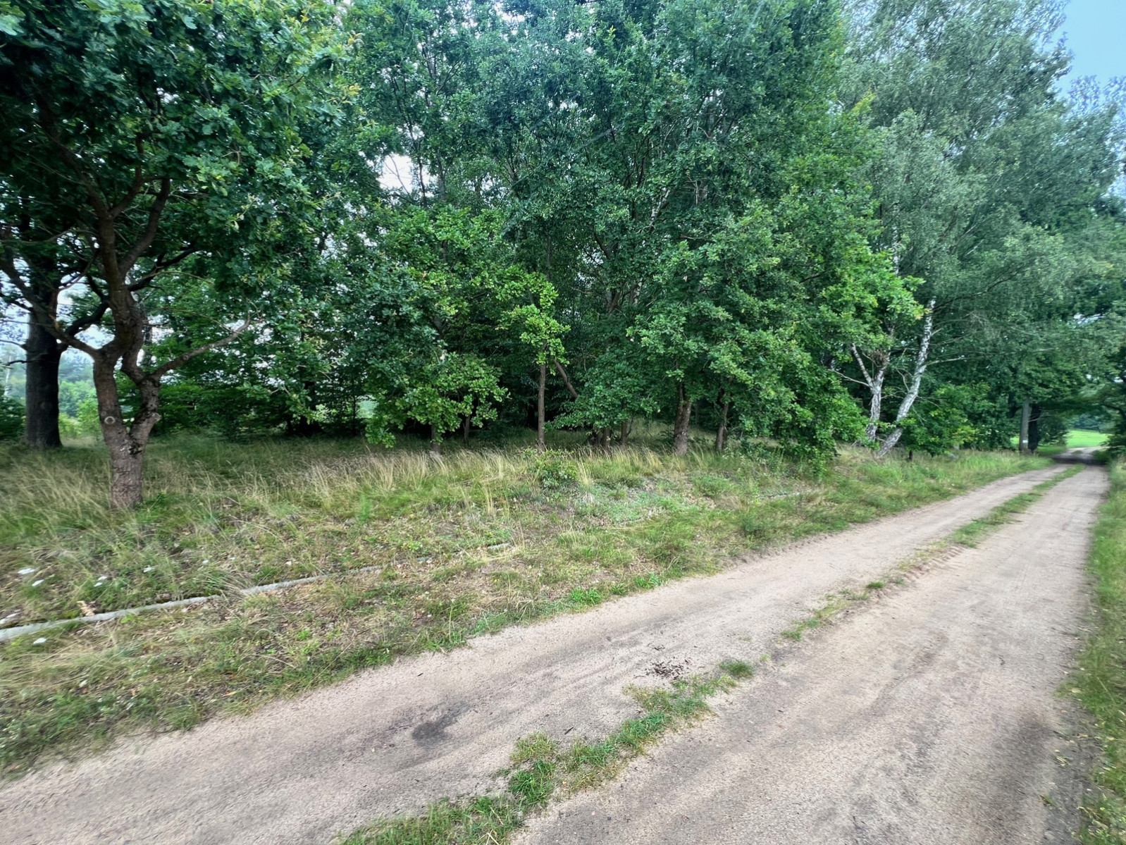 Działka Sprzedaż Storkowo 4