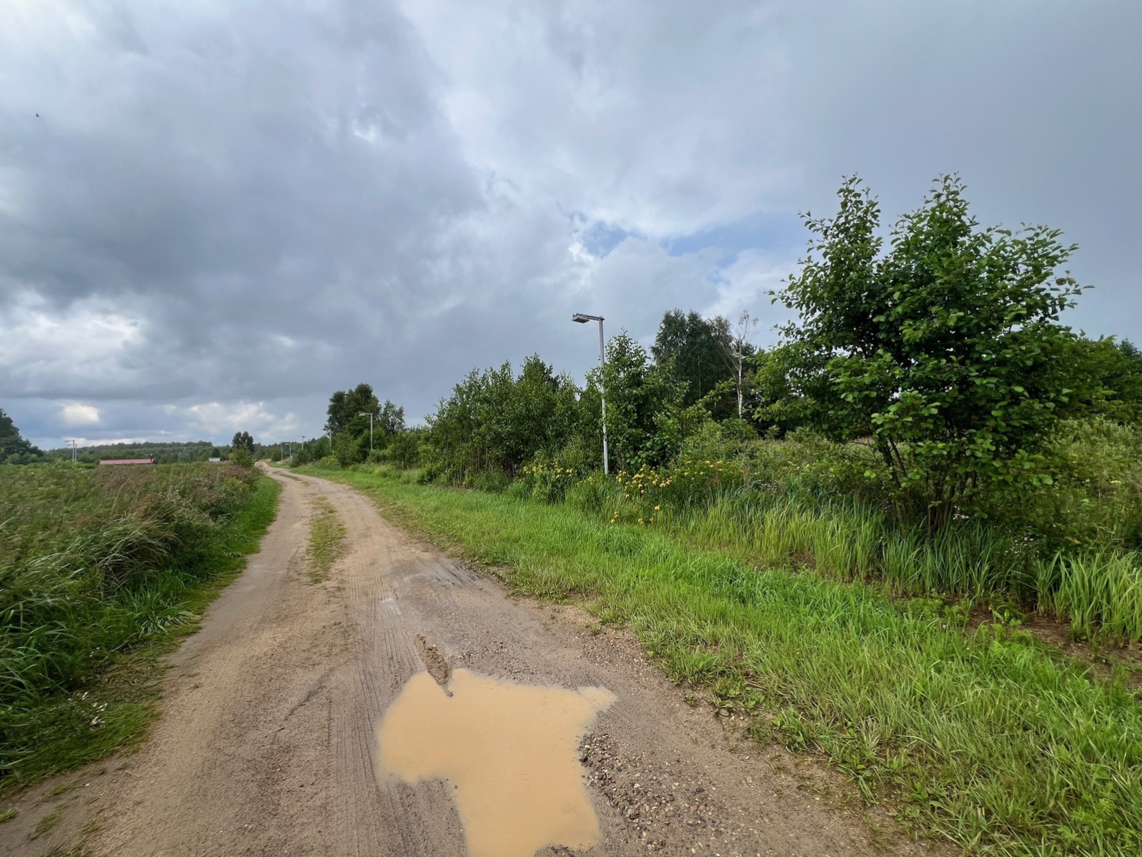 Działka Sprzedaż Storkowo 7