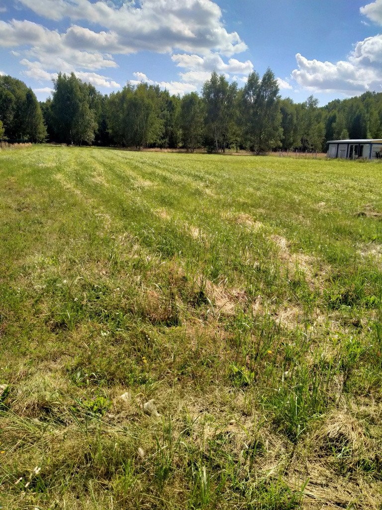Działka Sprzedaż Grzepnica 11