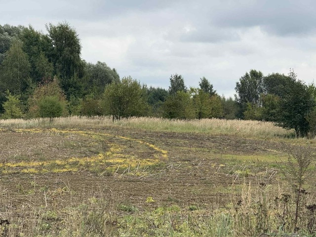 Działka Sprzedaż Stara Dąbrowa 4
