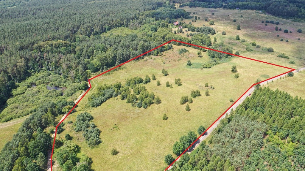 Działka Sprzedaż Gronowo 3