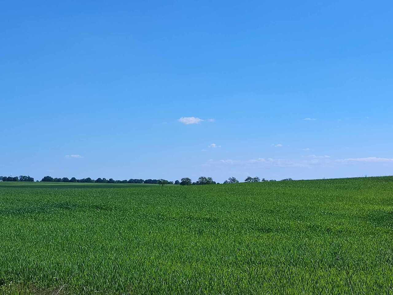 Działka Sprzedaż Grabowo 9