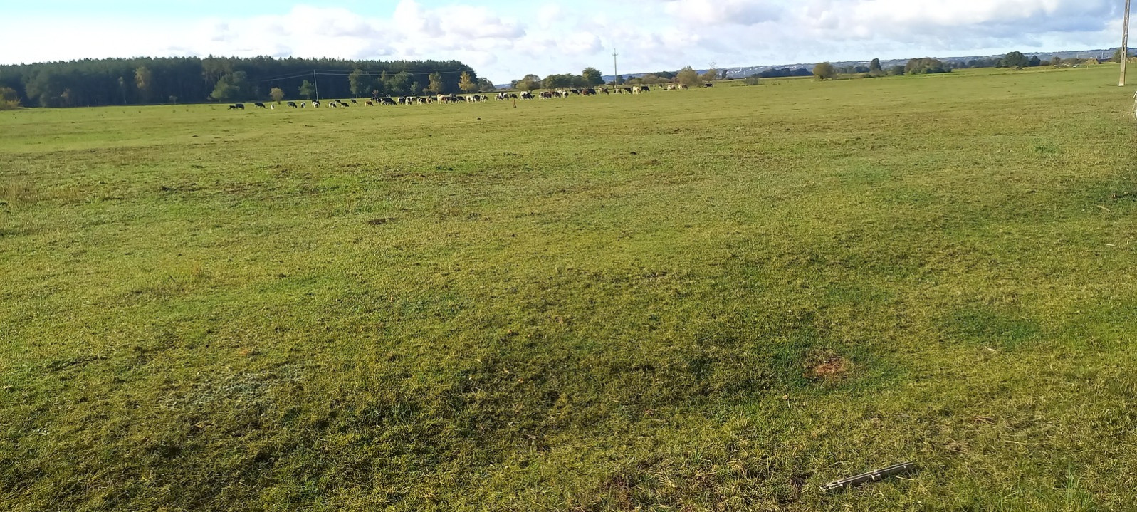 Działka Sprzedaż Borzysławiec 3