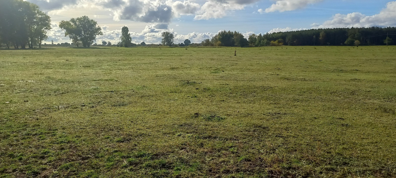 Działka Sprzedaż Borzysławiec 8