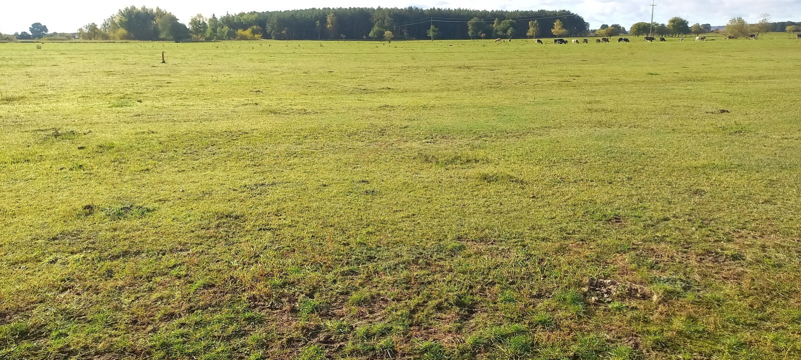 Działka Sprzedaż Borzysławiec 9