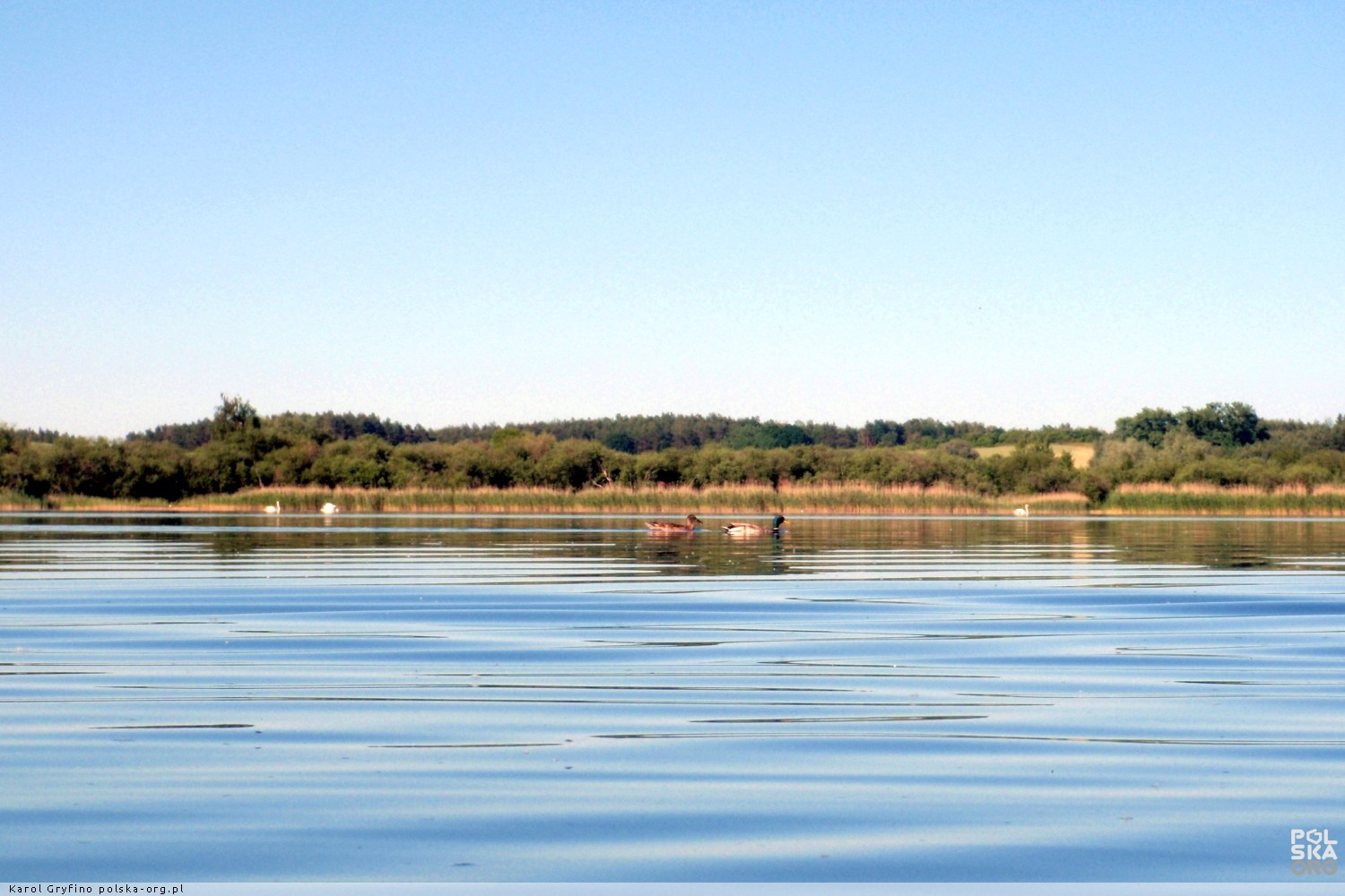 Działka Sprzedaż Żelewo 1