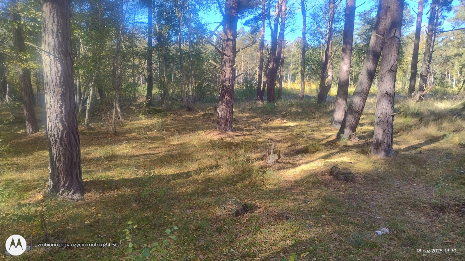 Działka Sprzedaż Dziwnów 2