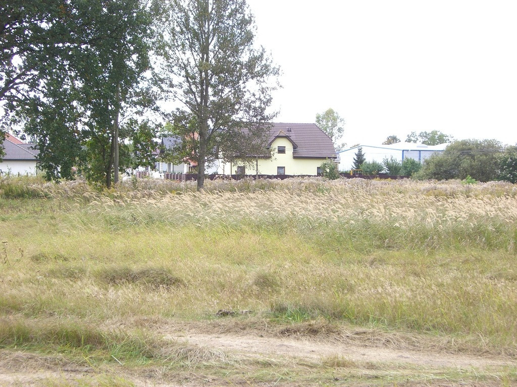 Działka Sprzedaż Dobra 4