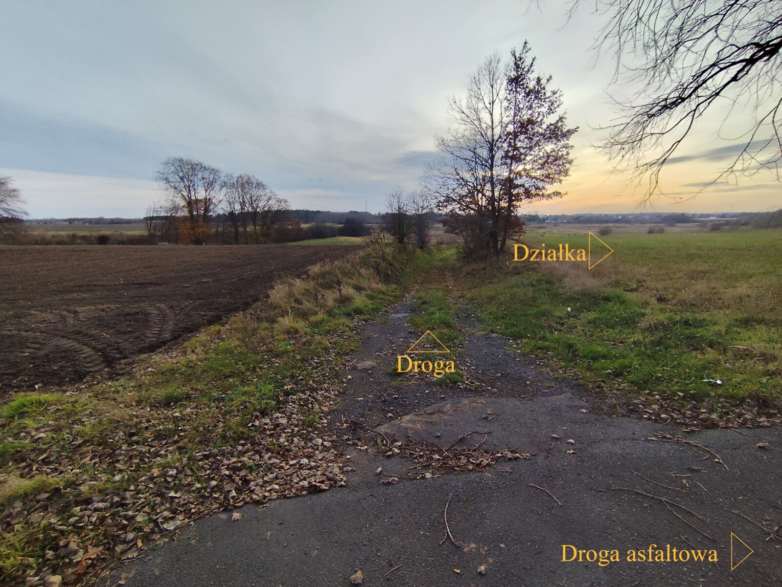 Działka Sprzedaż Wojcieszyn 8