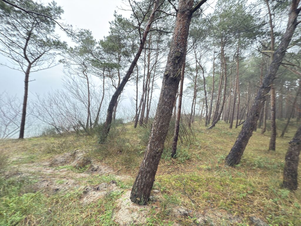 Mieszkanie Sprzedaż Międzywodzie Westerplatte 17