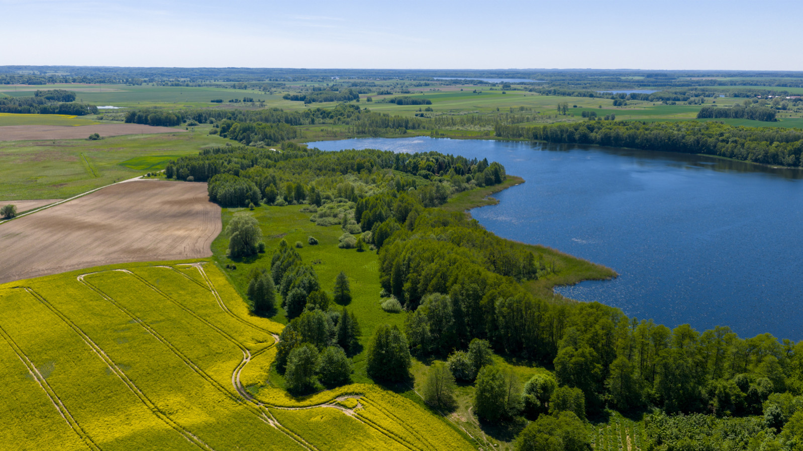 Działka Sprzedaż Sielsko 9