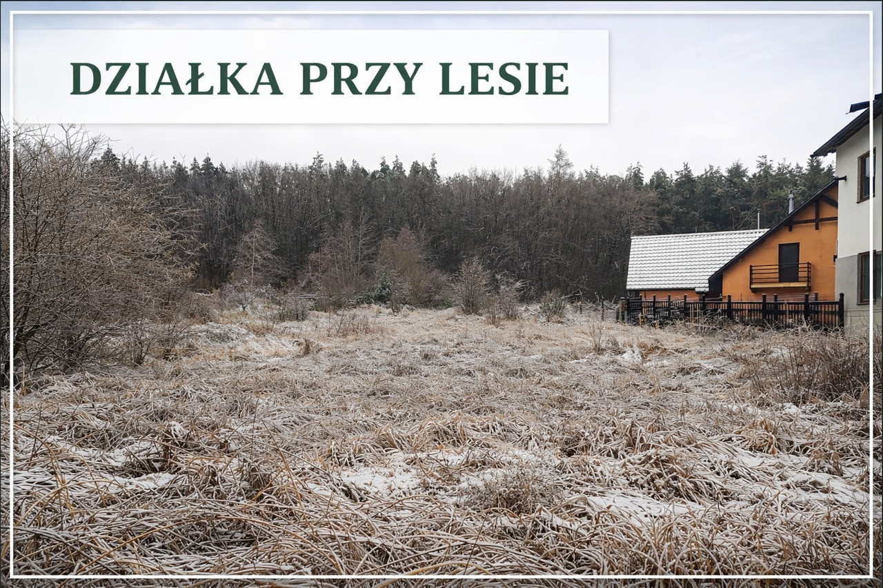 Działka Sprzedaż Pilchowo 1