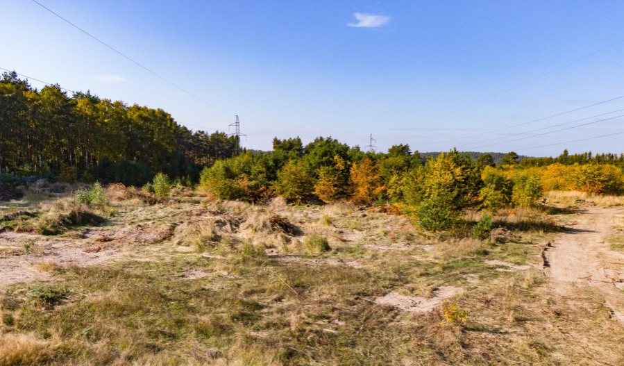 Działka Sprzedaż Dargobądz 6