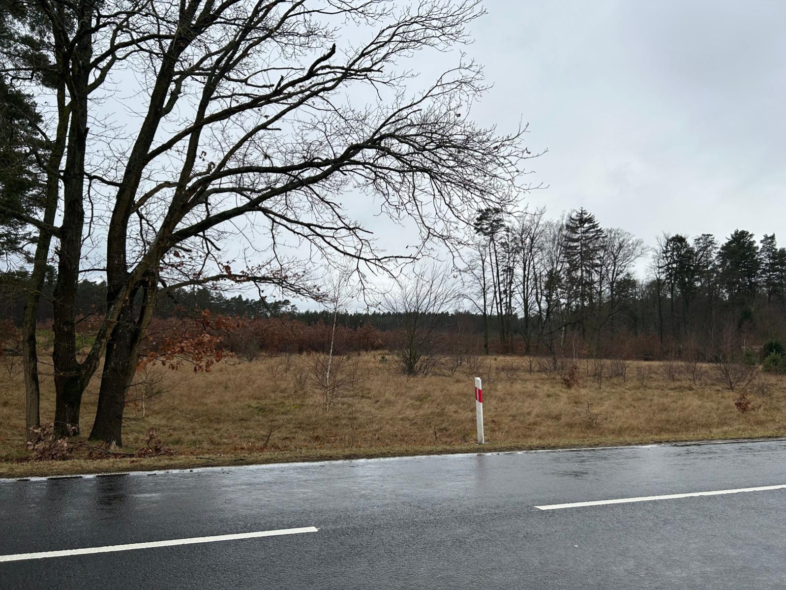 Działka Sprzedaż Brzózki 6