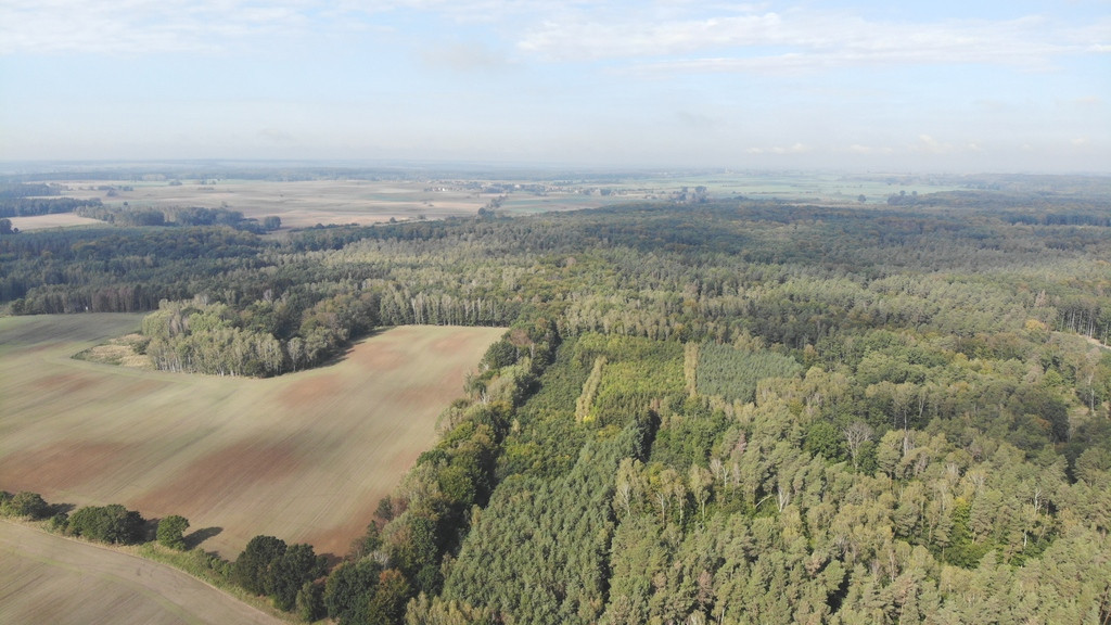 Działka Sprzedaż Rów 1
