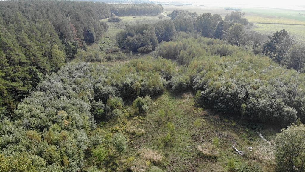 Działka Sprzedaż Rów 3