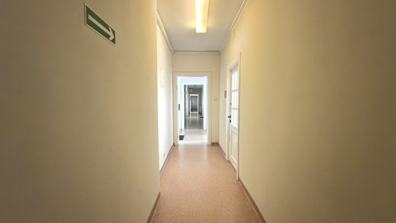 Lokal Wynajem Szczecin Centrum 5