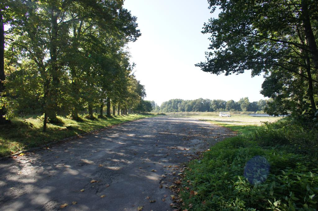 Działka Sprzedaż Dobra 8