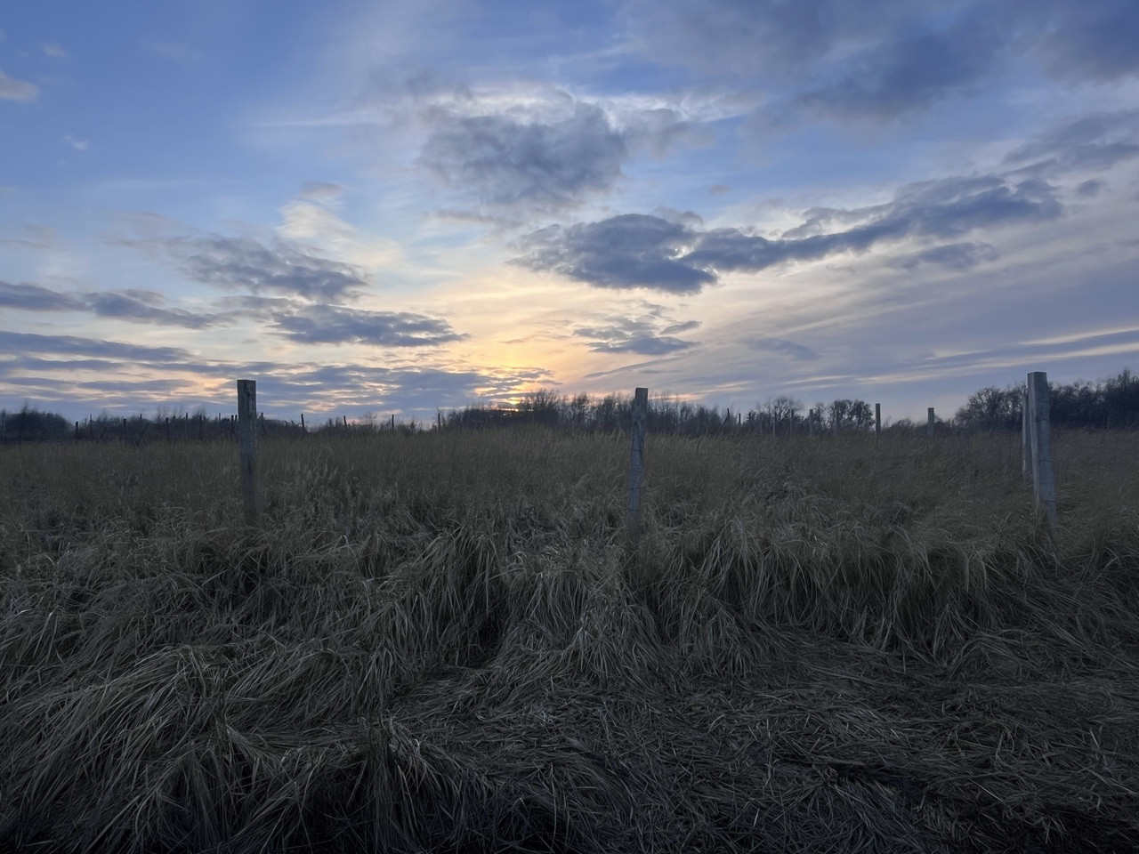Działka Sprzedaż Szczecin Skolwin