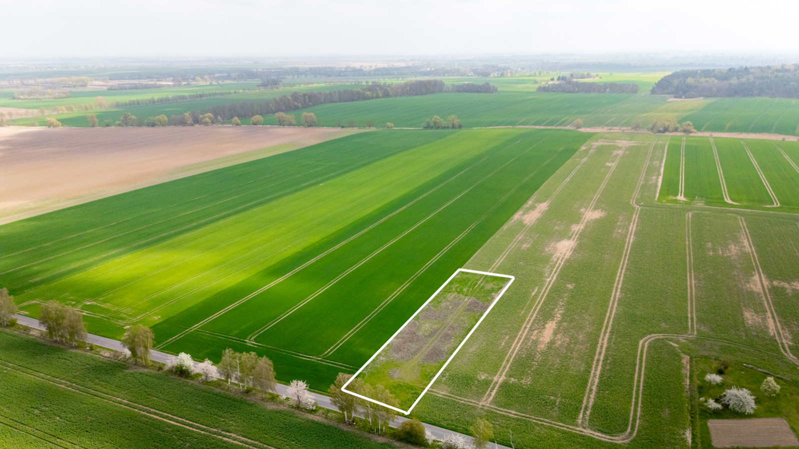 Działka Sprzedaż Pyrzyce 4
