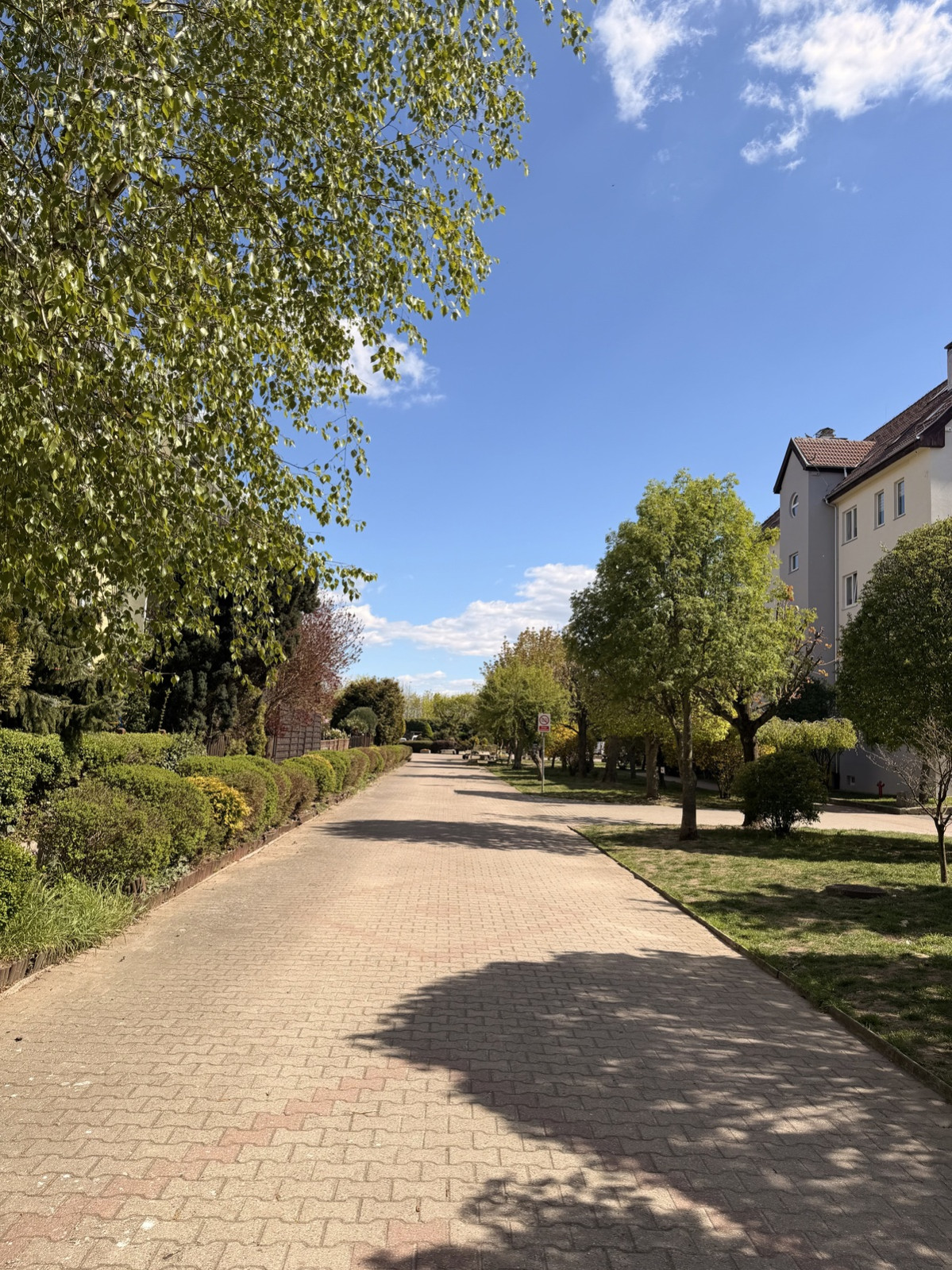 Mieszkanie Sprzedaż Przecław Przecław 22