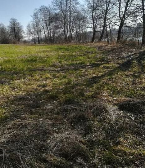 Działka Sprzedaż Kaszewo 6