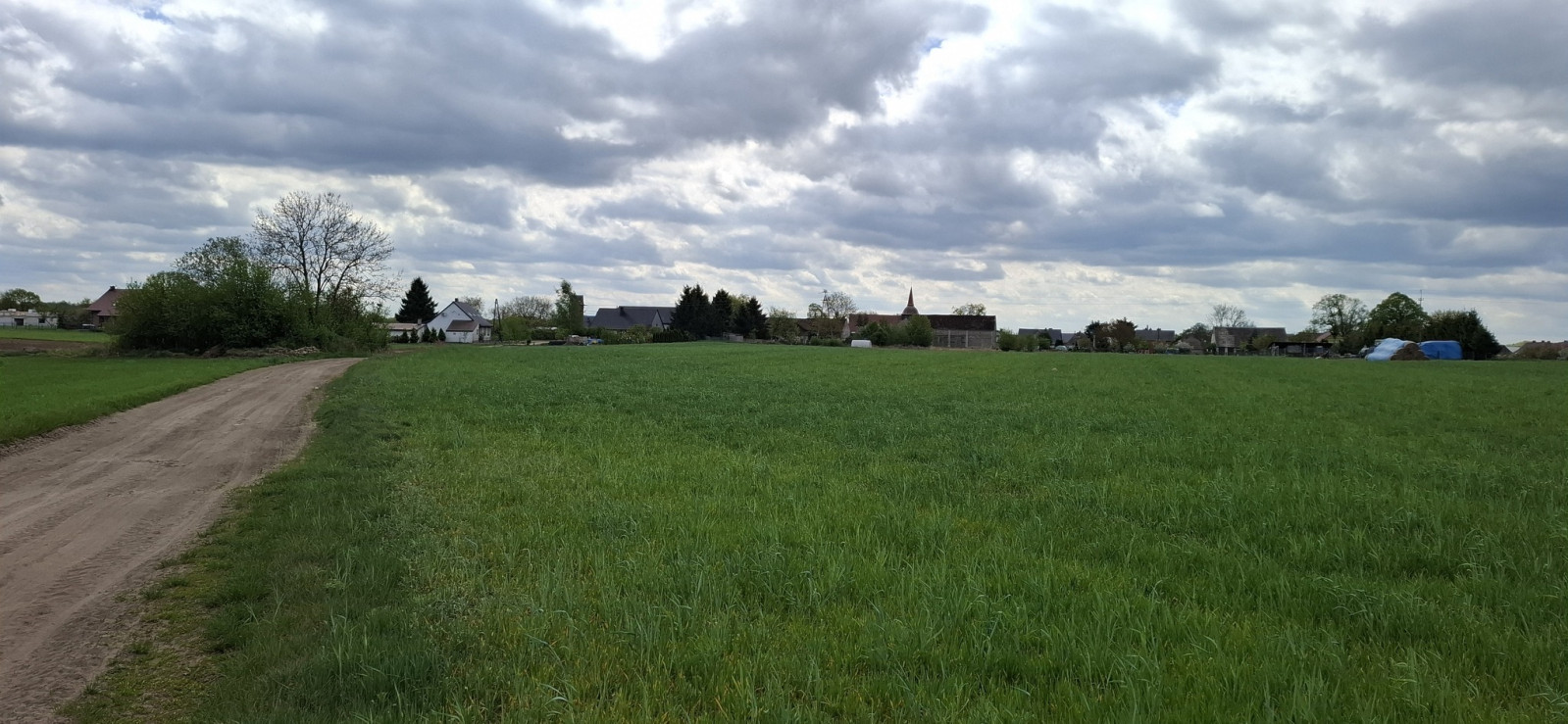 Działka Sprzedaż Bagna 1