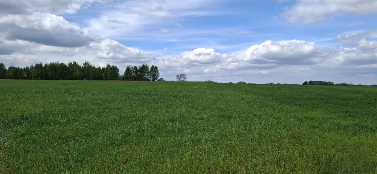 Działka Sprzedaż Bagna 2