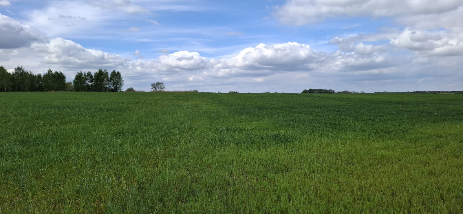 Działka Sprzedaż Bagna 4