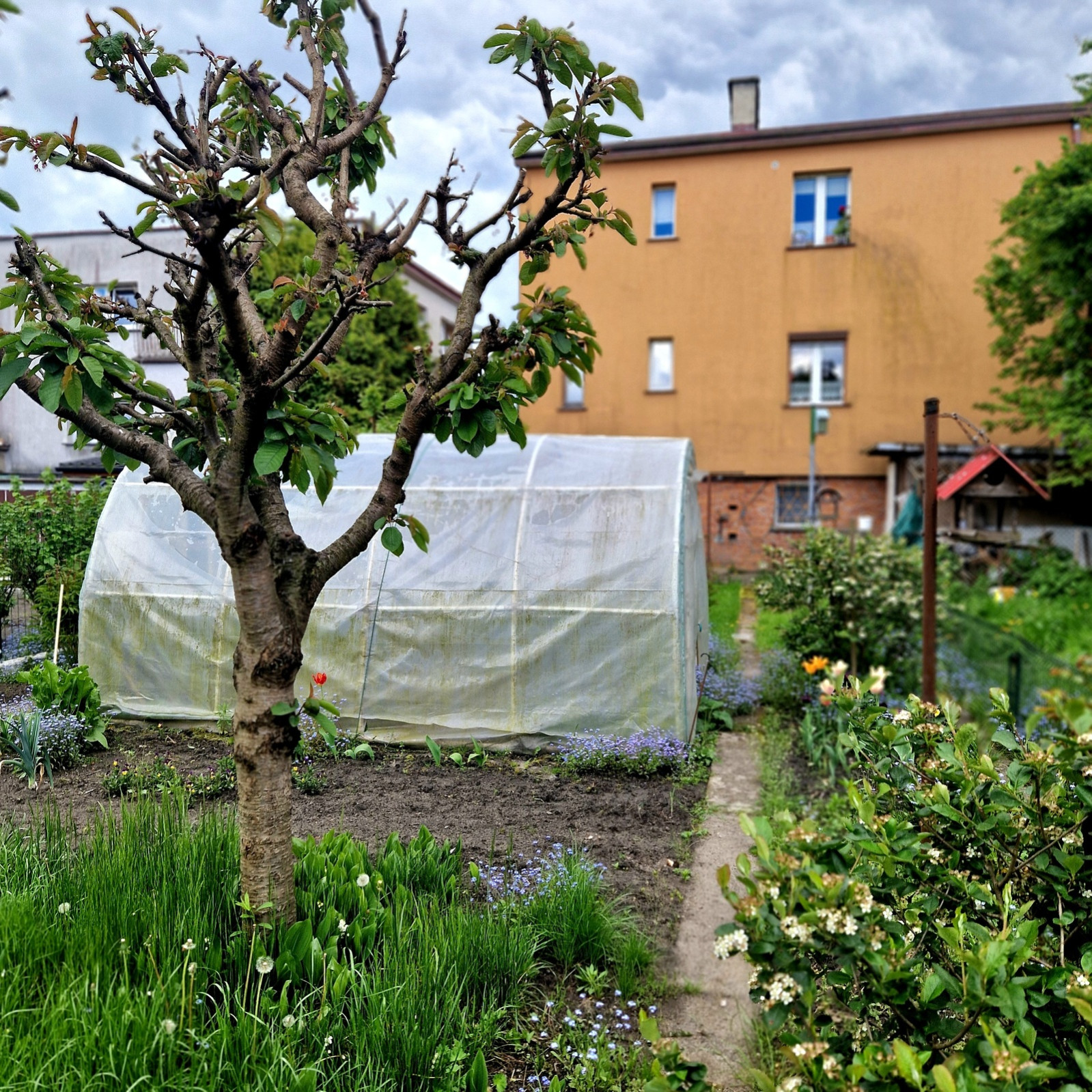 Mieszkanie Sprzedaż Goleniów Marii Dąbrowskiej 3