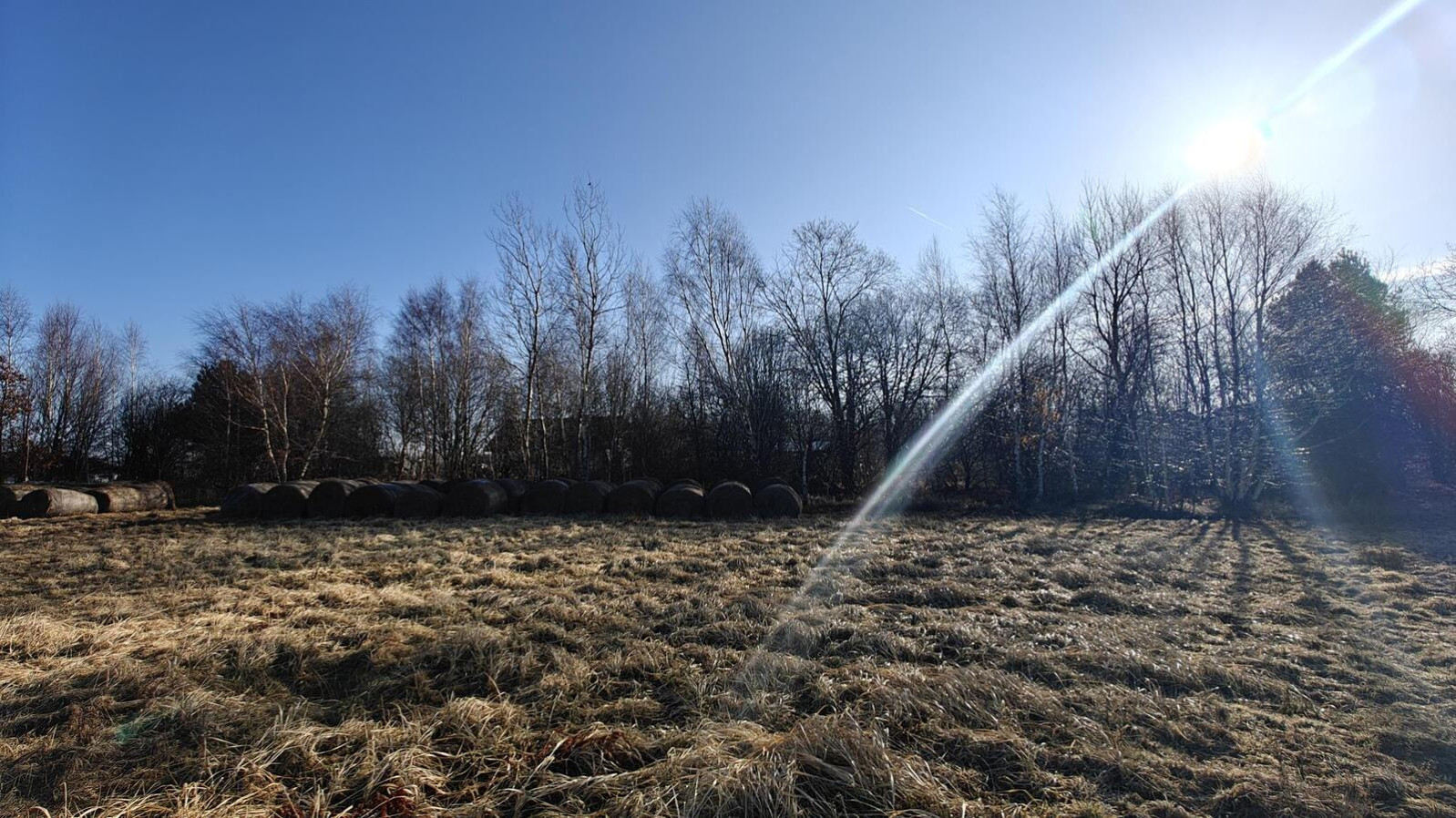 Działka Sprzedaż Koszalin Łabusz Wilków Morskich 8