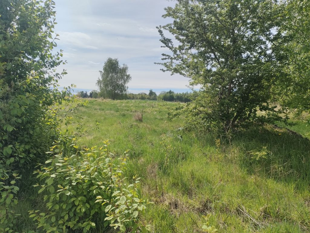 Działka Sprzedaż Lędzin 7