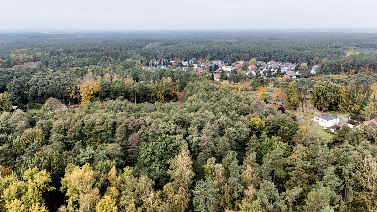 Dom Sprzedaż Pilchowo 16